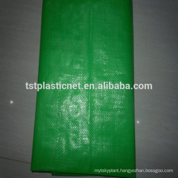 Garden Non Woven Plastic Ground Cover Fabric/weed mat supplier/pp spunbond weed cover